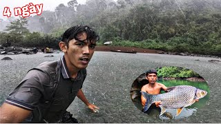4 Ngày Ngủ Qua Đêm Trong Rừng Mưa | Câu Cá Cắm Trại Hái Rau Rừng & Làm Nơi Trú Ẩn 