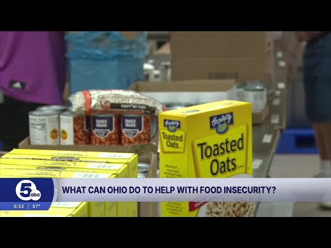 YouTube video thumbnail: Snap Benefits set to Expire for 1.4 Million; Ohio Looking at Options