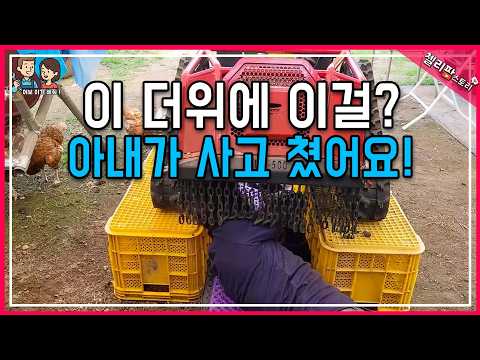 폭염주의보 날 아내의 대형사고?! 무전 제초기가 농장 와이어를 삼켰습니다😭 (땀범벅 구조작전)