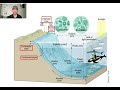 Understanding Ocean Zones and Marine Life