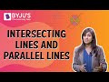 Lines and Their Intersections