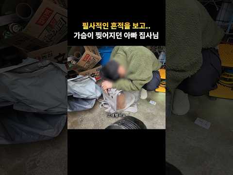 필사적으로 다시 집으로 들어오려던 고양이