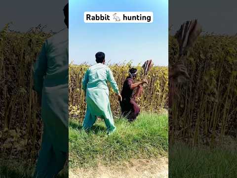 Rabbit 🐇 hunting #animals #farming #shortsyoutubevideo