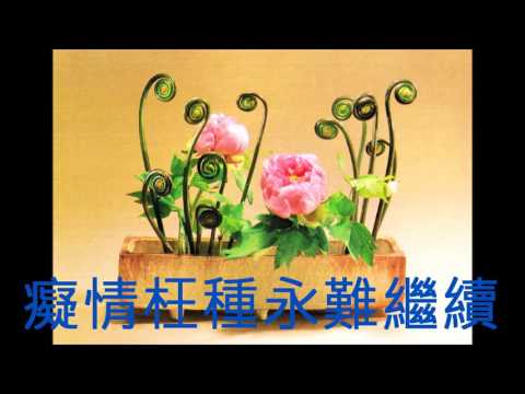 換到千般恨(粵語)-柳影紅 (娛己娛人卡拉OK) – 特大字幕 (舊版)