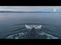 Marine Biology Program Overview