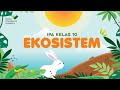 Ecosystem Dynamics and Interactions