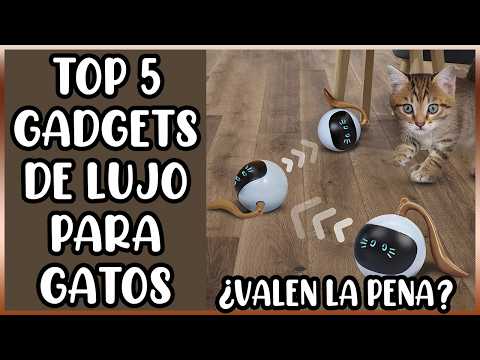 ¡Productos De Lujo Que Harán Que Tu Gato Se Sienta Como Un Rey! - SiamCatChannel