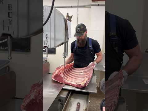 Cutting Bison Short Ribs 🔪🦬 #shorts #bison #butcher #butchering