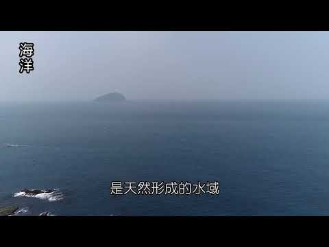 常見的水域環境