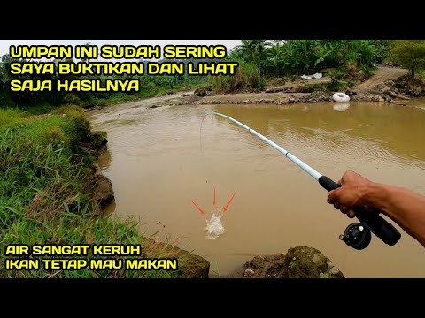 Umpan Ampuh Mancing di Air Yang Sangat Keruh Lihat Hasilnya