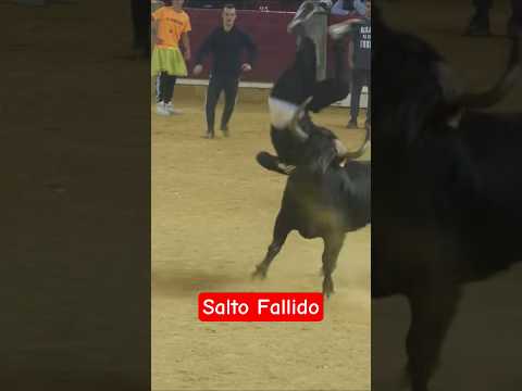 Salto Fallido 😭😱😱