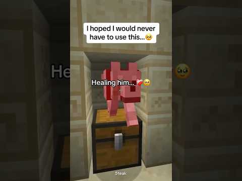 Epic Rescue END moment… 🥺💀 #shots #minecraft