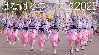 【阿波踊り】はなはるフェスタ2025　殿様連・扇連・阿波おどり保存協会・瀬戸内阿波おどり・美粋遊の阿波おどり | Awaodori in Tokushima Japan
