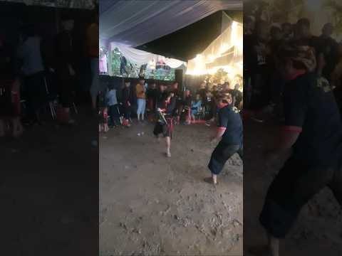 Kudalumping di pecut #shorts #kudalumping