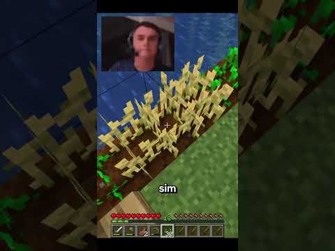 A Ilha Maluca EP 14 | E a caverna ? #minecraftengraçado #minecraftmemes
