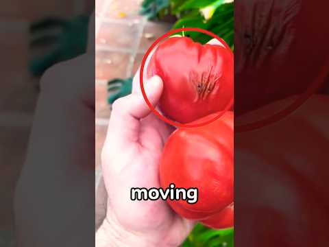 Something's Moving Inside! 😱