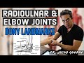 Anatomy of the Elbow Joint