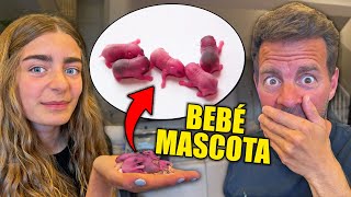 NUEVA MASCOTA BEBE Itarte Vlogs