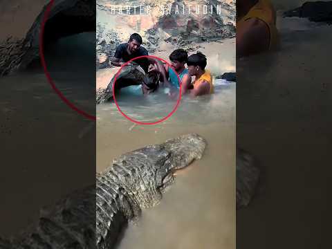 NEKAD NOLONG BOCIL WALAU ADA ALLIGATOR..? #amazing #scary #alligator #crocodile