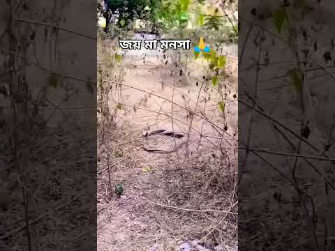 āĻā§āϞ āĻāϰā§āĻ āĻā§āĻ āĻāĻ āĻāĻŋāĻĄāĻŋāĻāĻāĻŋ āĻāĻĄāĻŧāĻŋāϝāĻŧā§ āϝāĻžāĻŦā§āύ āύāĻž āĻ
āĻšāĻāĻāĻžāϰ āĻāϰāϞā§āĻ āĻŦāĻŋāĻĒāĻĻ āĻāϝāĻŧ āĻŽāĻž āĻŽāύāϏāĻž đā§āĻĻāĻŋāύā§āϰ āĻŽāϧā§āϝ⧠āĻāĻžāĻā§āϝ āĻŦāĻĻāϞ⧠āϝāĻžāĻŦā§