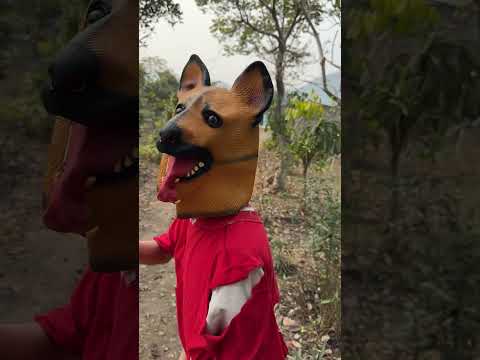 Chú chó tốt bụng và dũng cảm b / kind and brave puppy #trending #viralvideo #dog #pets #cartoon
