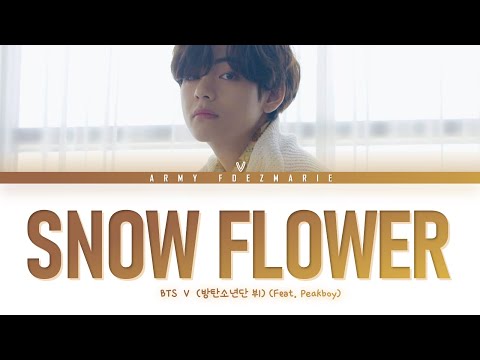 BTS V Snow Flower (feat. Peakboy) (방탄소년단 뷔) Lyrics [Color Coded Lyrics/Han/Rom/Eng]
