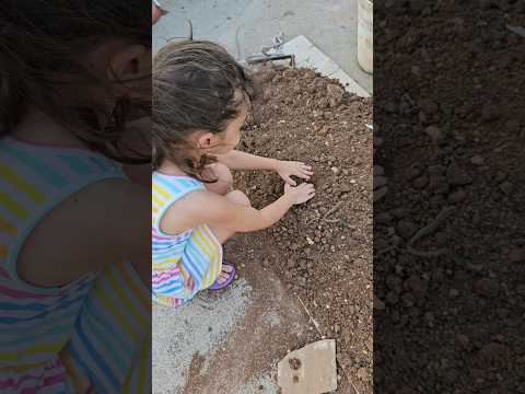 Kalemi toprağa gömdüm bakalım Elif bulabilecek mi?Qələmi yerə basdırdım, görək Elif tapa biləcəkmi?