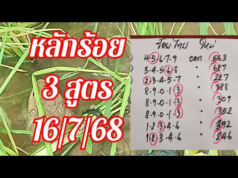 หลักร้อยไทย 3 สูตรชน จัดให้ลุ้นกันจะๆ ผ่านหรือไม่ ไปดูกัน 16/7/68 นี้ รอพิสูจน์