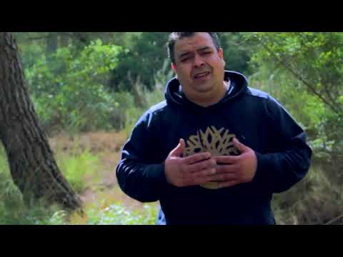 Denya Rajaat Ghaba  (Exlusive Music Video) - La Vie Est Une Jungle