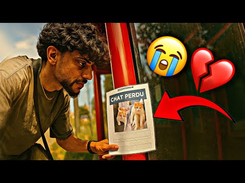 رحله بحثي عن قطي سعدون | 16 يوم ! 🐈 💔😭