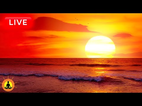 &#128308; Relaxing Sounds of the Ocean for Deep Sleeping: Peaceful Sleep Music 24/7 | Overcome Insomnia Now!