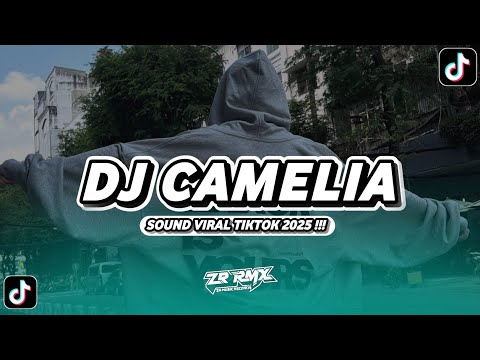 DJ CAMELIA | DJ SUDAHLAH JANGAN MENANGIS LAGI | SOUND VIRAL TIKTOK 2025 [BOOTLEG]