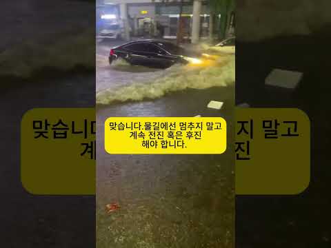 폭우에 빛나는 그랜저! 최고다