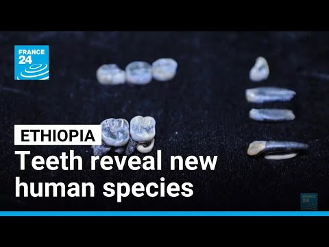 YouTube video thumbnail: Teeth That Shake up Human Evolution: Ethiopian Fossils Shed Light on Ancestors