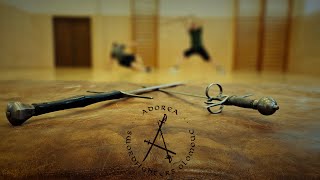 Adorea One Assault Long sword vs Rapier #swordfighting #swordfight #action #versus