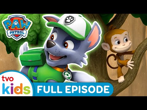 Pups Save the PawPaws 🐒 | 🐾 PAW PATROL 🐶 | Rescue Dogs Help Adventure Bay 🏡 | Season 4 | TVOkids