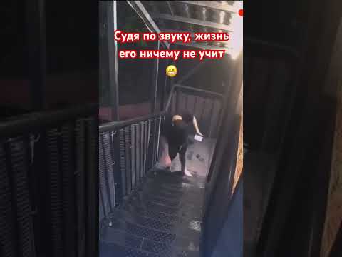Судя по звуку, жизнь его ничему не учит 😬