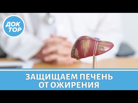 Как по анализу крови можно заподозрить ожирение печени