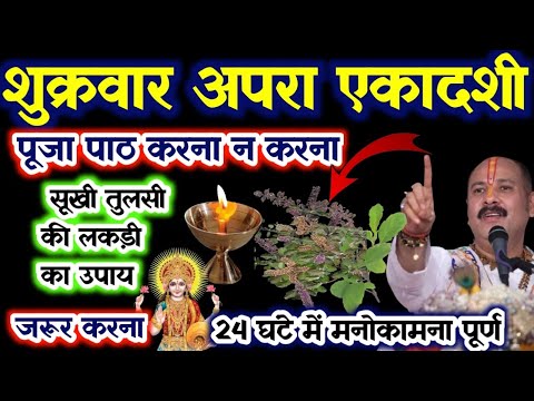 23 मई शुक्रवारअपरा एकादशी तिथि को हल्दी वाले जल का उपाय आपकी किस्मत बदल देगा