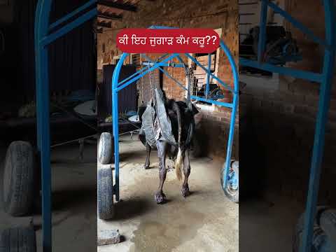 ਇਹਦਾ ਕੋਈ ਹੱਲ ਹੈਗਾ?