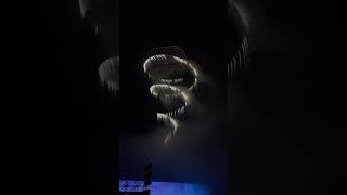 Hey！ #drone #fireworks #vuurwerk #feuerwerk