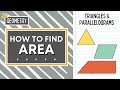 Triangle and Parallelogram Area Concepts