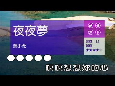 夜夜夢~蔡小虎~女F調伴奏~導唱~無live鼓甲
