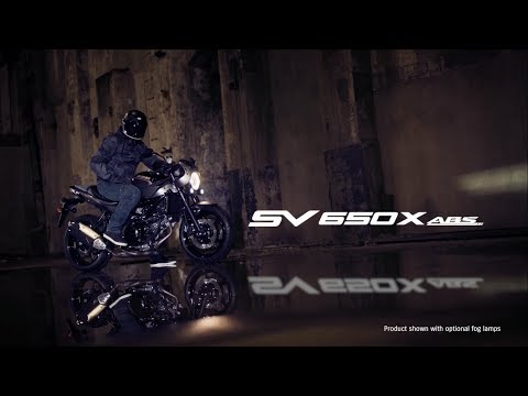 Suzuki SV