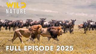 Wild Animals | ZAKOUMA REBORN - Survival in the Ashes of the Wild | Wild Nature