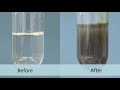 Chemical Reaction of Chlorine and Sodium Iodide