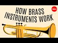Understanding Brass Instruments