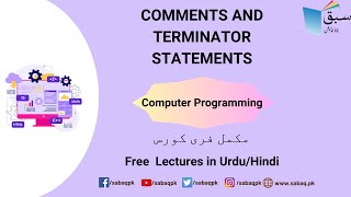 Comments and terminator statements