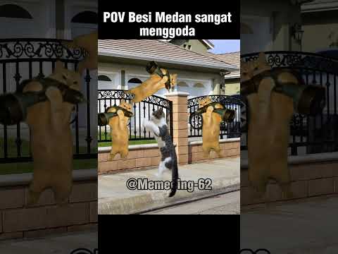 Rayap Besi 😋 #funny #memes #lucu #komedi #cat #fypyoutubeshorts #kucingviral