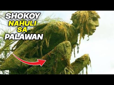 TOTOONG SHOKOY NAHULI SA PALAWAN with ACTUAL VIDEO FOOTAGE